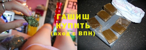 гашик Вяземский