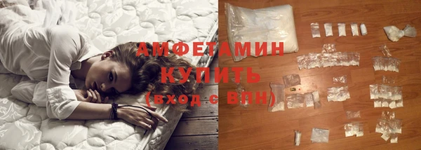 прущие грибы Волоколамск