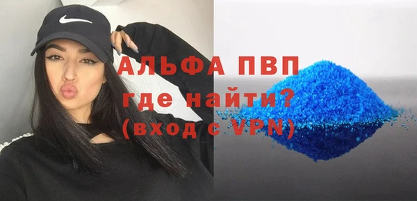 гашик Вяземский