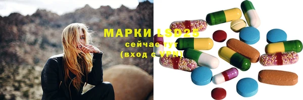 гашик Володарск