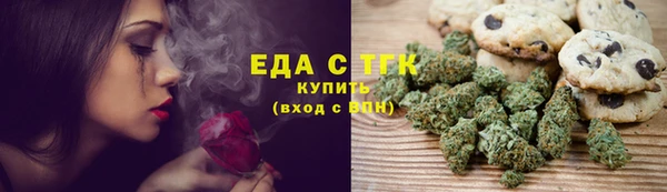 гашик Вяземский