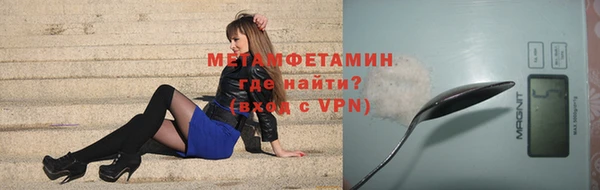прущие грибы Волоколамск