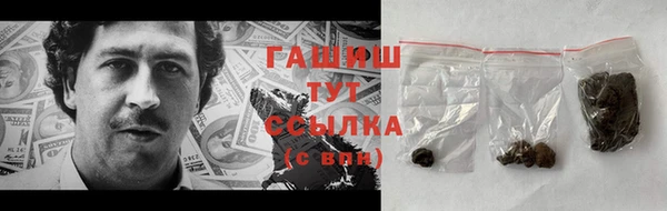 гашик Вяземский