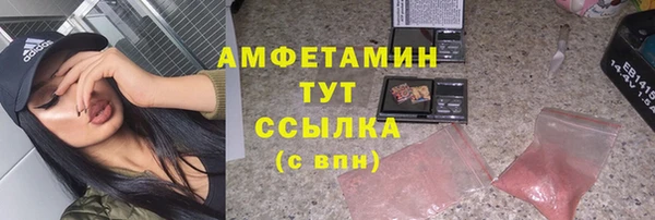 мдпв Вязьма